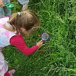 Domacija Vesel Дом отдыха *