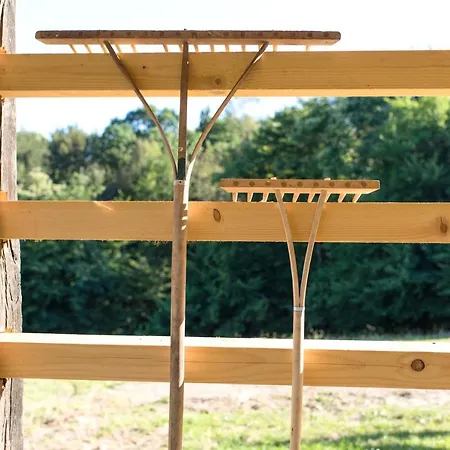 Domacija Vesel Trebnje