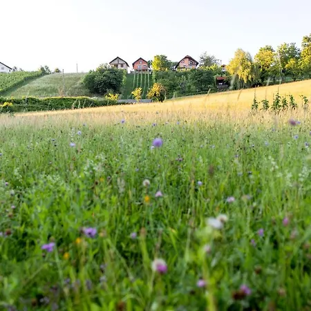 Domacija Vesel 度假居 Trebnje