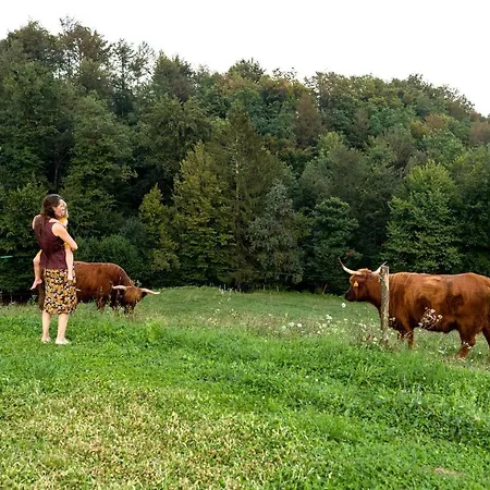 Domacija Vesel Trebnje