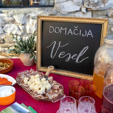 Prázdninový dům Domacija Vesel