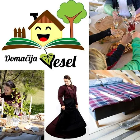 Prázdninový dům Domacija Vesel *