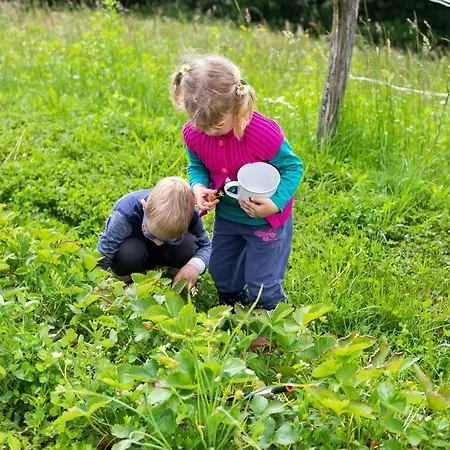 Nyaraló Domacija Vesel *
