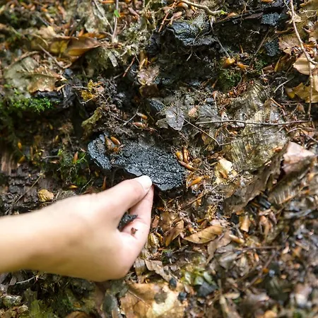 Domacija Vesel 度假居 Trebnje