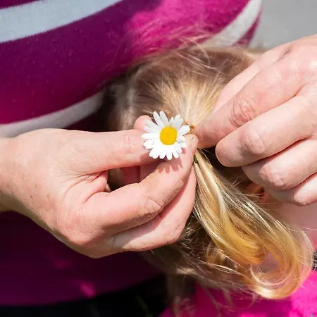 Vikendica Domacija Vesel