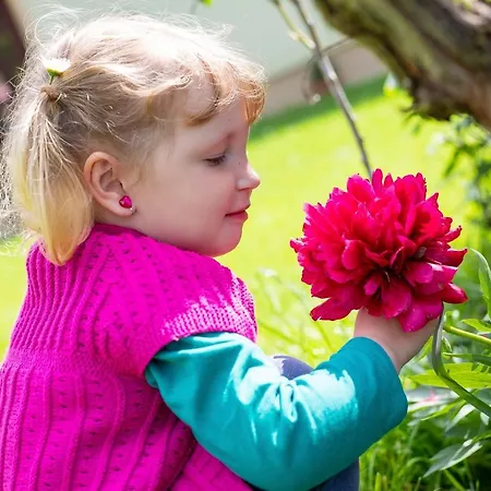 Domacija Vesel Trebnje