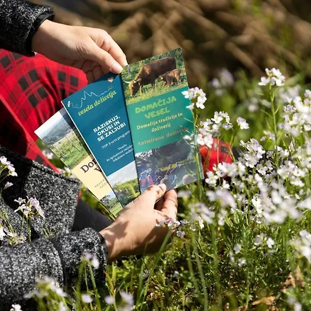 Domacija Vesel Vikendica