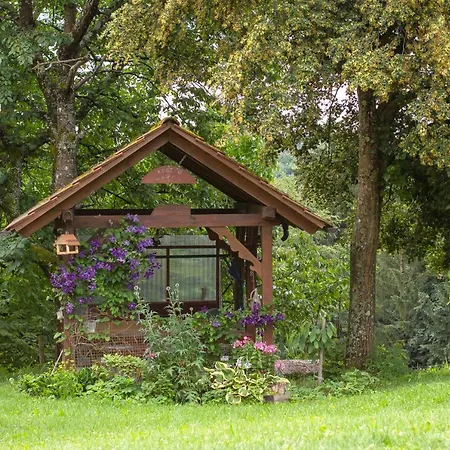 Domacija Vesel 度假居