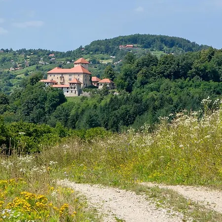 Dom wakacyjny Domacija Vesel *