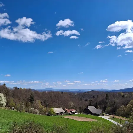 度假居 Domacija Vesel *