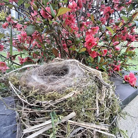 Domacija Vesel Trebnje