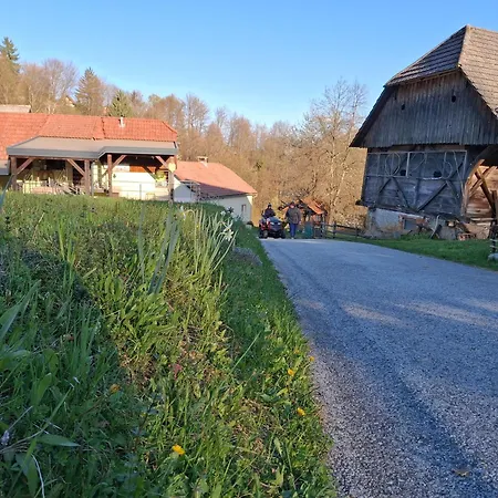 Domacija Vesel Dom wakacyjny