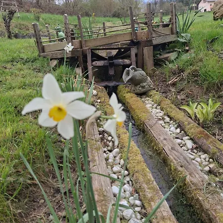 Domacija Vesel