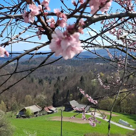 Domacija Vesel Dom wakacyjny *