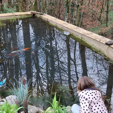 Domacija Vesel Nyaraló