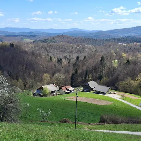 Dom wakacyjny Domacija Vesel