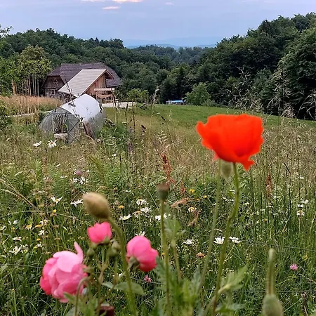 Domacija Vesel Trebnje