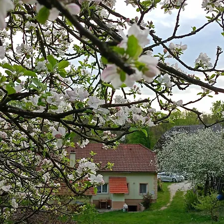 Domacija Vesel 度假居 Trebnje