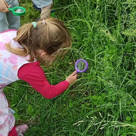 Domacija Vesel Nyaraló *