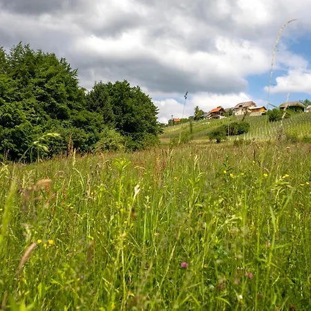 Vikendica Domacija Vesel Trebnje