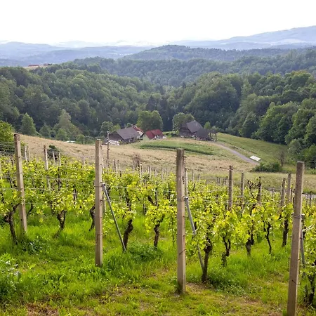 Domacija Vesel Trebnje