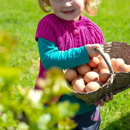Domacija Vesel 度假居