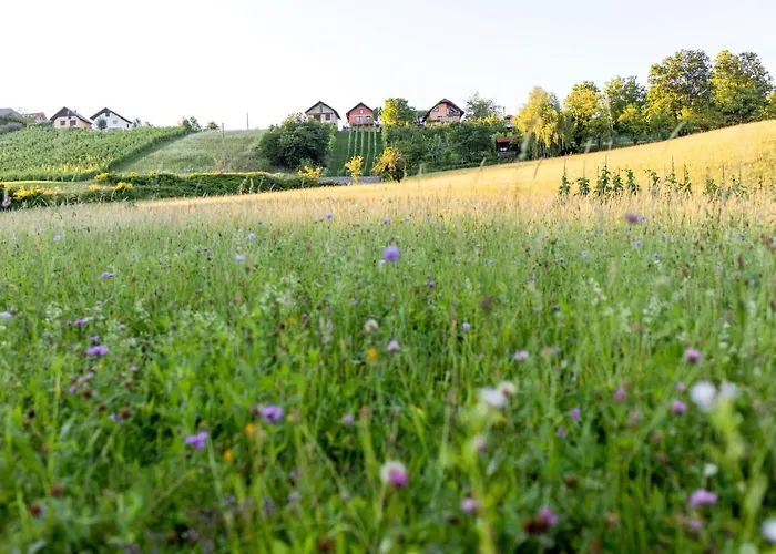 Domacija Vesel בית נופש Trebnje