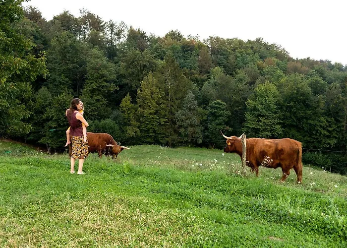 Domacija Vesel Trebnje