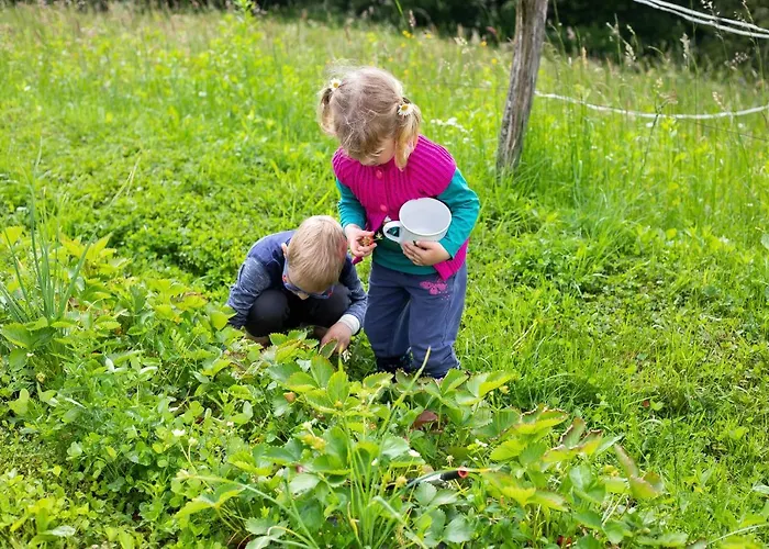בית נופש Domacija Vesel *