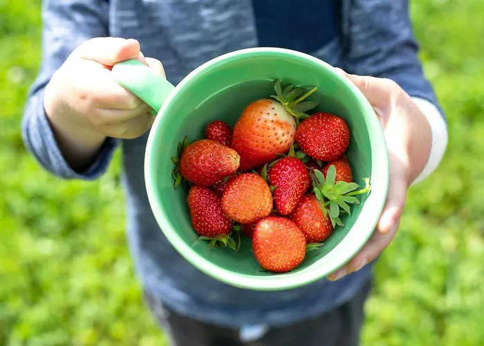 Domacija Vesel Trebnje