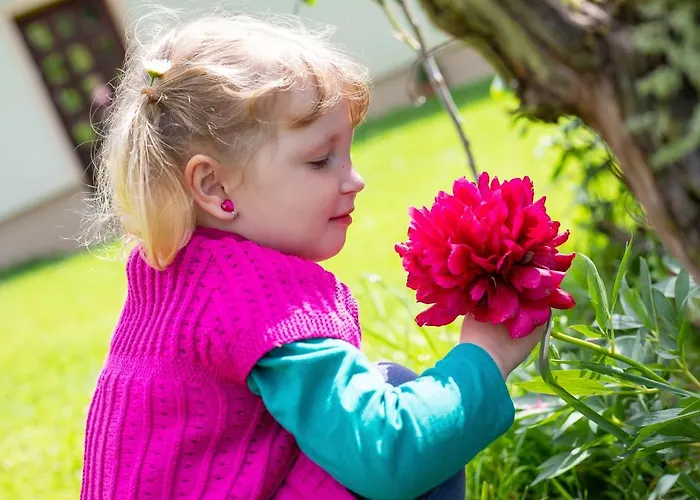 Domacija Vesel Trebnje