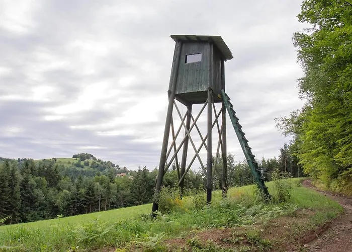 Domacija Vesel 別荘 Trebnje