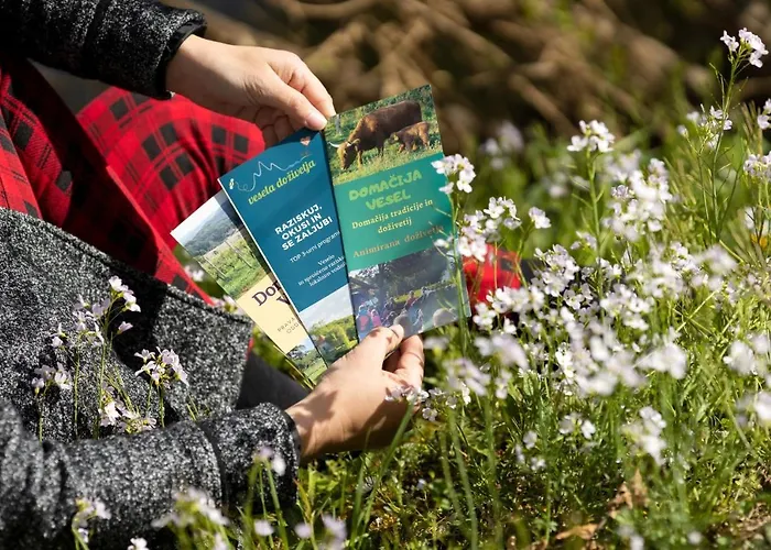 Domacija Vesel 別荘