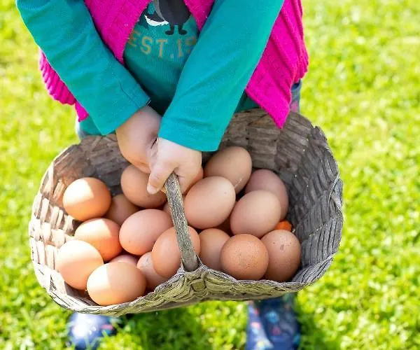 בית נופש Domacija Vesel *