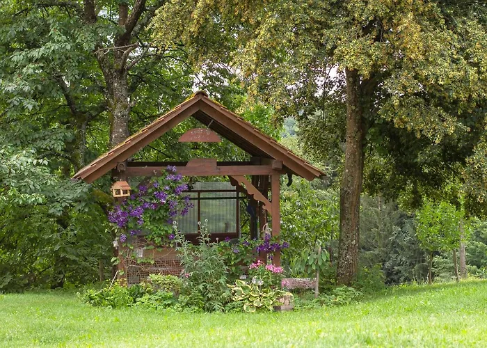 Domacija Vesel 別荘