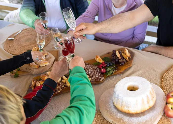 Domacija Vesel 別荘 *