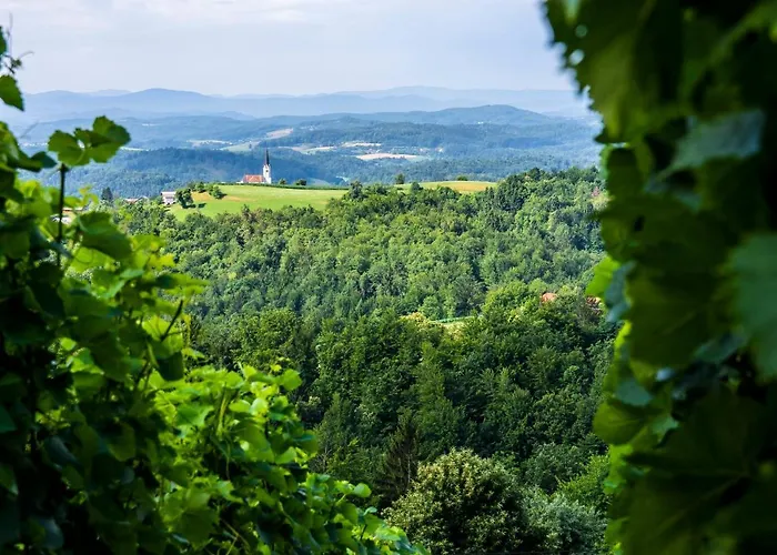 Domacija Vesel 別荘 Trebnje