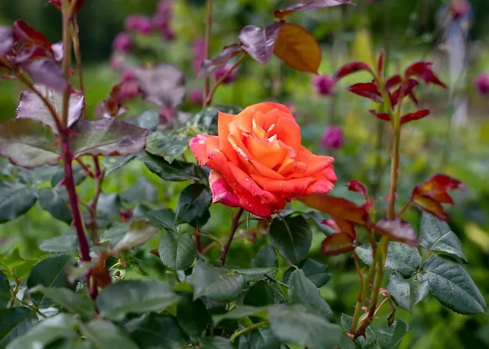 別荘 Domacija Vesel Trebnje