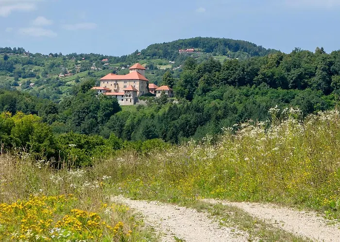 בית נופש Domacija Vesel *