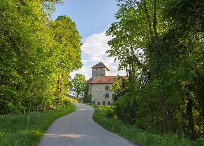 Domacija Vesel 別荘 Trebnje