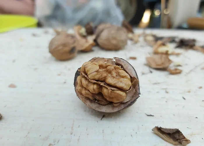 Domacija Vesel בית נופש