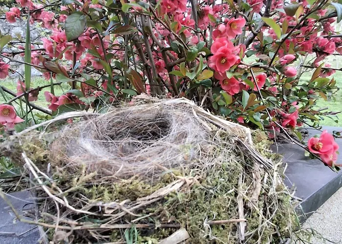 Domacija Vesel Trebnje