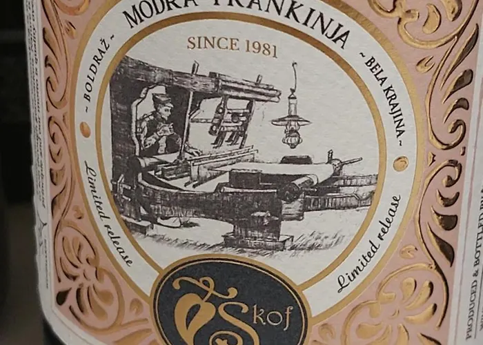 Domacija Vesel בית נופש Trebnje