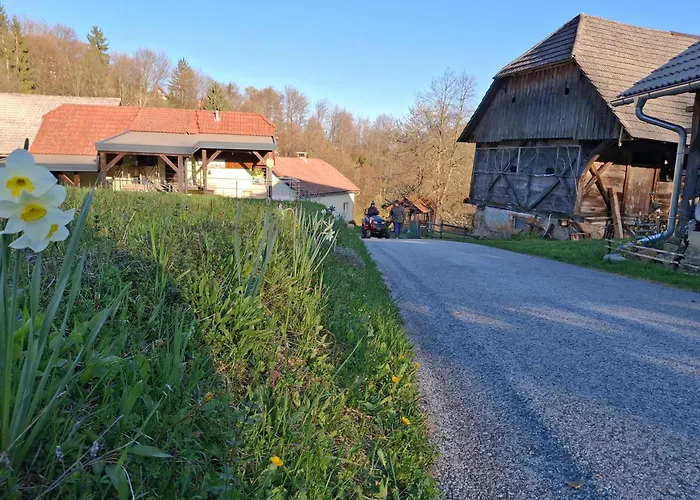 Domacija Vesel Casa vacanze