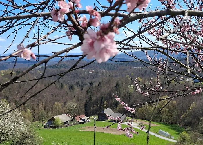 Domacija Vesel בית נופש *