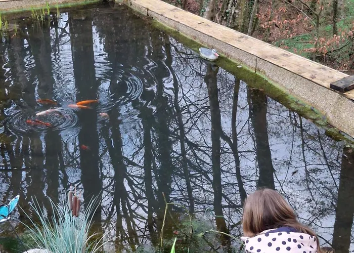 Domacija Vesel בית נופש