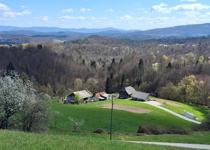 Casa vacanze Domacija Vesel