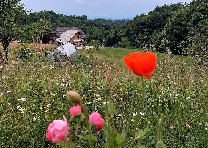 Domacija Vesel Trebnje