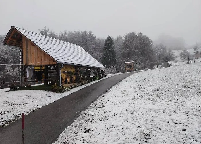 בית נופש Domacija Vesel *