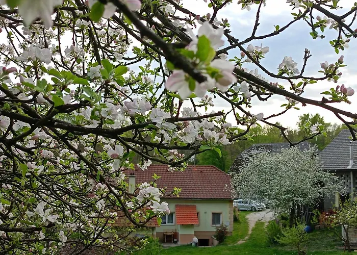 Domacija Vesel 別荘 Trebnje